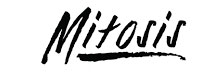 Mitosis - Top Companies Mitosis